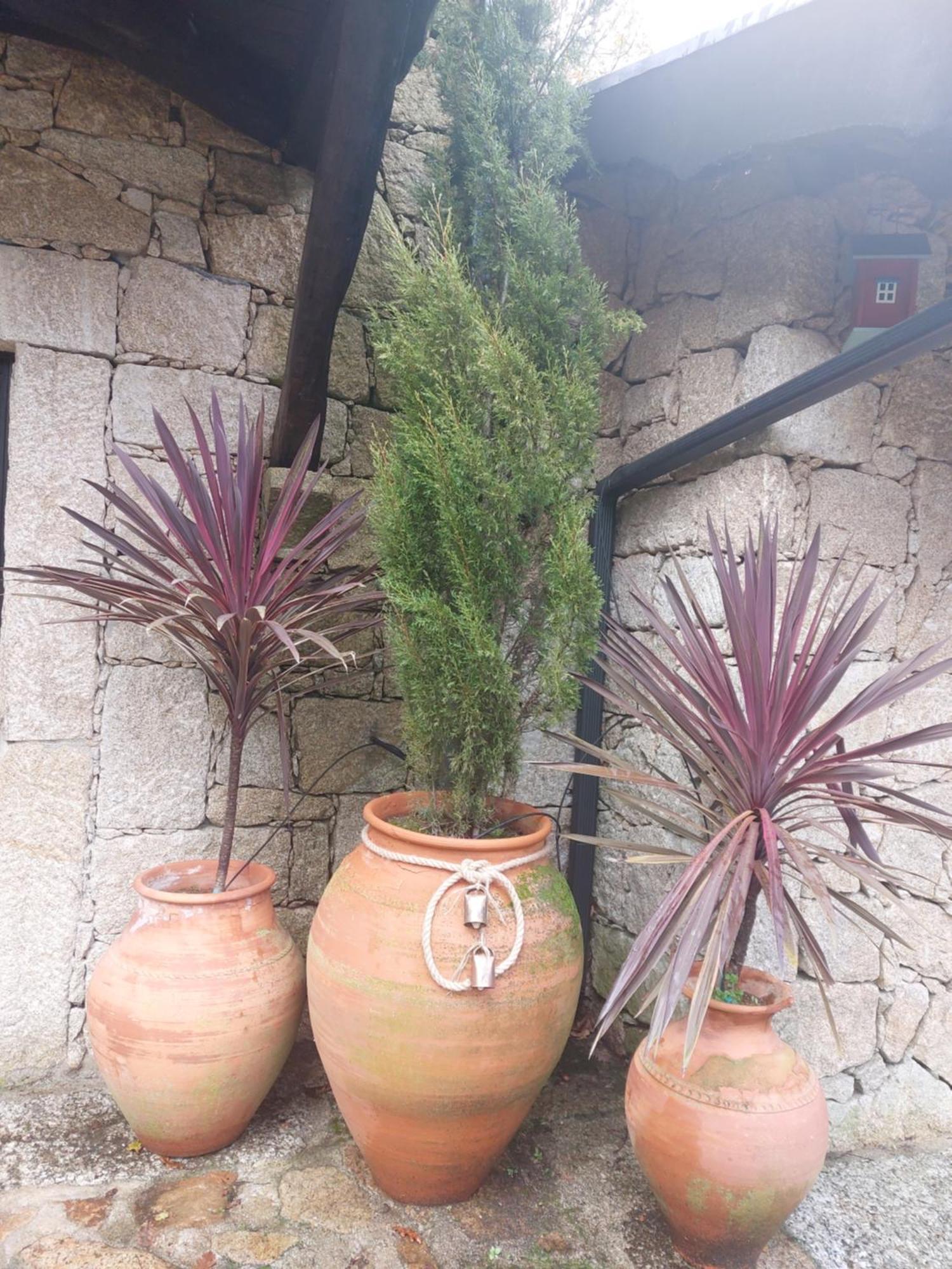 Quinta Do Caneiro Герес Екстериор снимка